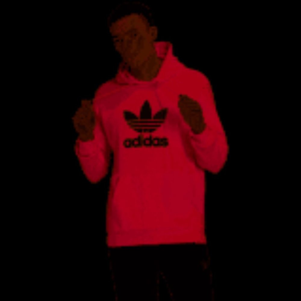 adidas hoody